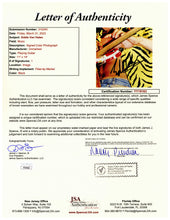 Load image into Gallery viewer, Van Halen Signed Photo and Replica Guitar