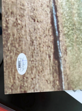 Load image into Gallery viewer, Pete Rose