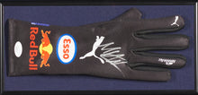 Load image into Gallery viewer, F1 4X World Champion Max Verstappen Display with signed RedBull Racing Glove