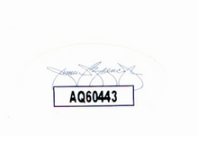 Load image into Gallery viewer, Top Gun with Five Authenticated Signatures, Model F4 Plane and Aviator Sunglasses
