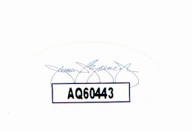 Top Gun with Five Authenticated Signatures, Model F4 Plane and Aviator Sunglasses
