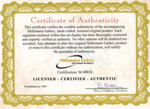 Load image into Gallery viewer, Bruce Springsteen with JSA Authenticated Signature and Guitar
