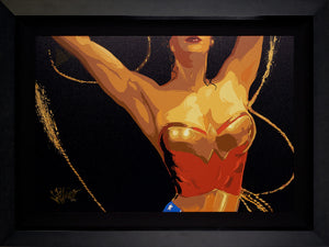 Joe Petruccio 'Wonder Woman' Canvas Display