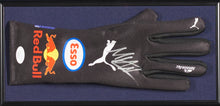 Load image into Gallery viewer, F1 2X World Champion Max Verstappen Display with signed RedBull Racing Glove

