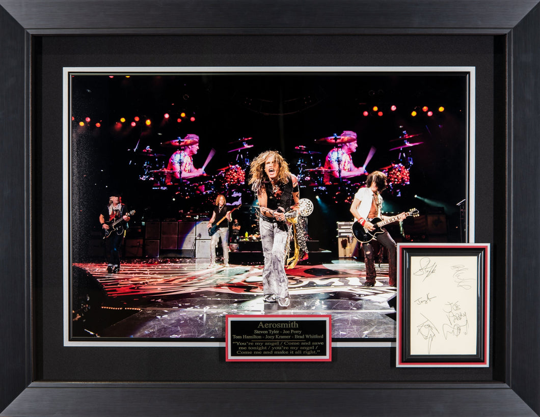 Aerosmith Band Signed Concert Display